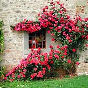  Alloggio per agriturismo Ai Frati